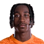Yan Diomande