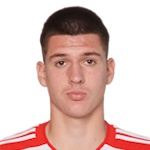 Ljubo Puljic
