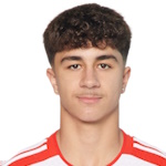 Adin Licina