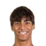 Martín Krug