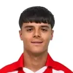 Luka Zarić