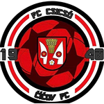 TJ Družstevník Číčov logo