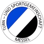 TSG Messel logo