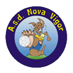 Nova Vigor logo