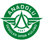 Anadolu Gençlerspor logo