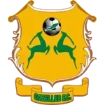 Gazelles FC logo