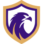 Falcon-SE U17 logo