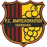 AO Ampelokipoi Ioanninon logo