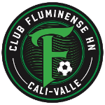 Fluminense HN logo