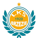 LKS Brzezie Racibórz logo