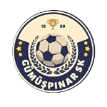 Gümüşpınarspor logo