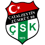 Çatalzeytin Zümrüt 80 SK logo