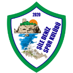 Şile Denizspor logo