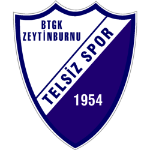 Telsizspor logo