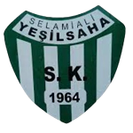 Selami Ali Yeşil Sahaspor logo