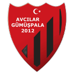 Avcılar Gümüşpalaspor logo