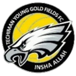 Techiman Young Goldfields U19 logo