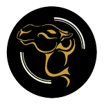 Haido logo