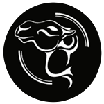 Our Camel logo