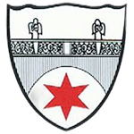TSG Steinbach II logo