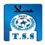 TS 2 Salé logo