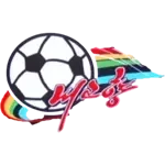 Naegohyang FC logo