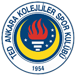 TED Ankara Kolejliler logo