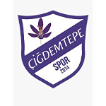Çiğdemtepespor logo