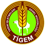Ankara Tigemspor logo