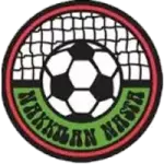 Nakkilan Nasta logo