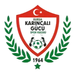 Bursa Karıncalıgücü logo