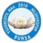 Yüzüncüyıl Mahallesi Nilüferspor logo