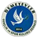Demetevler Gençlikspor logo