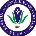 Karapınar Gençlikspor logo
