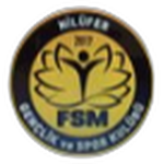 Nilüfer FSM Gençlikspor logo