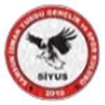 Samsun İdman Yurdu Gençlikspor logo
