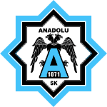 Kocaeli Anadolu 1071 Spor logo