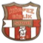 Körfez İlçesi Birlikspor logo
