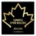 Gölcük Saraylıspor logo