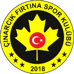 Çınarcık Fırtınaspor logo