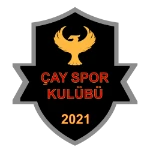Mersin Çayspor logo