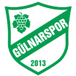 Gülnarspor logo