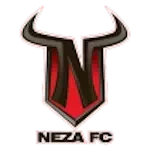 Neza FC logo