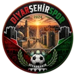 Diyarşehirspor logo