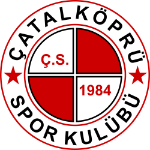 Sakarya Çatalköprüspor logo