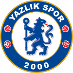 Sakarya Yazlıkspor logo