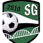 Sakaryagücü logo
