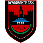 Diyarbakır 2020 Gençlikspor logo