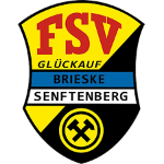 FSV Glückauf Brieske/Senftenberg U19 logo