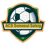 ACS Someşul Sălsig logo